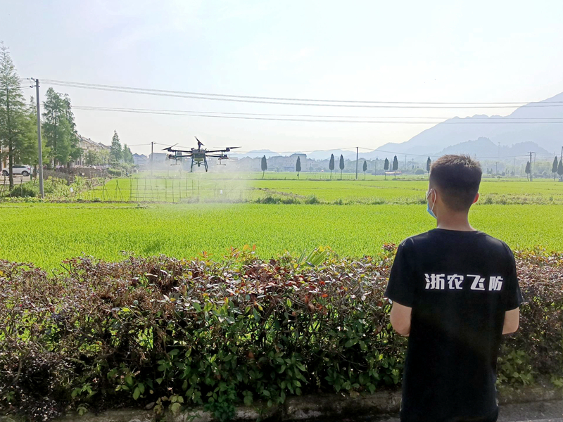 浙江日報聯(lián)合浙農(nóng)集團助力常山縣球川鎮(zhèn)農(nóng)戶增收致富 “云指導”種植技術送進田間地頭