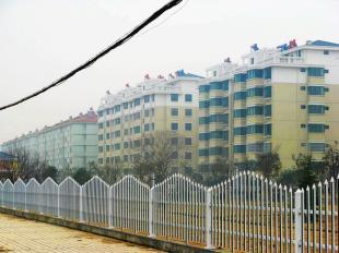 遷安PVC塑鋼護(hù)欄 廠家直銷，原生料生產(chǎn)，全國(guó)最低價(jià)