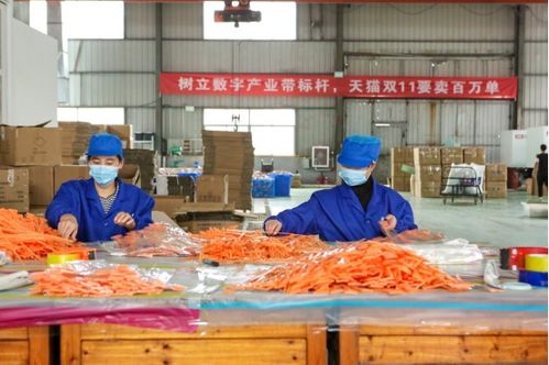 天貓雙11開(kāi)門紅 產(chǎn)業(yè)帶廠貨成交額同比激增1700%，餐飲服務(wù)迎來(lái)消費(fèi)新熱潮